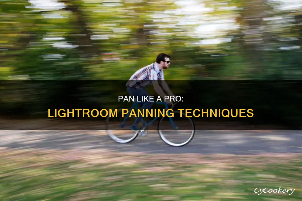 how to pan in lightroom