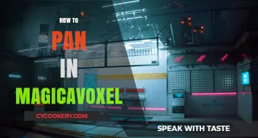 Master Panning in Magicavoxel: Tips and Tricks