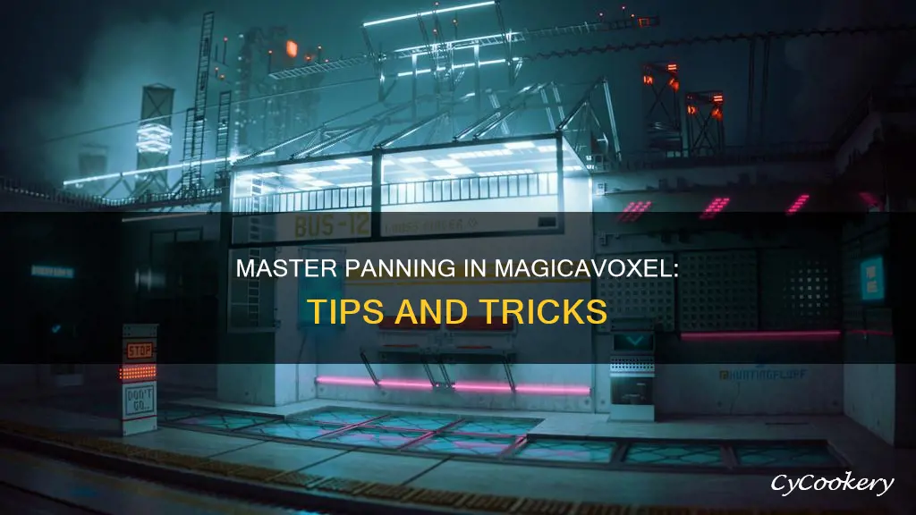 how to pan in magicavoxel