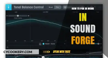 Panning Mono Audio in Sound Forge: A Step-by-Step Guide
