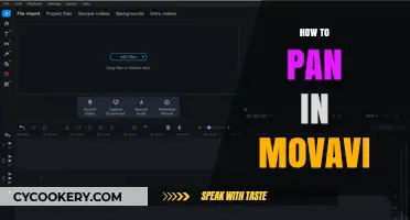 The Ultimate Guide to Panning in Movavi