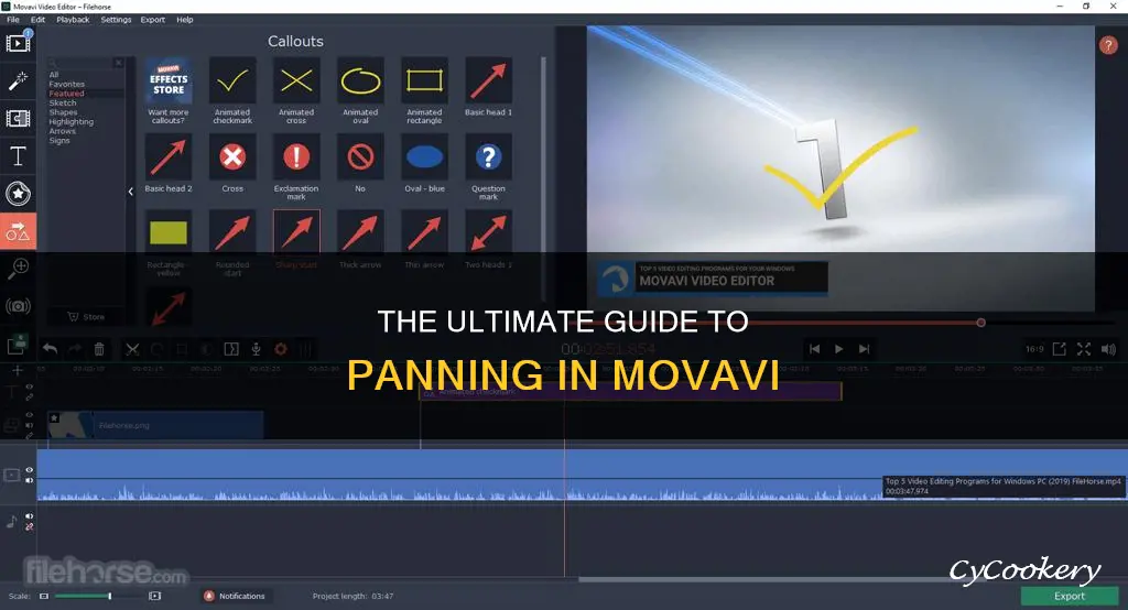 how to pan in movavi