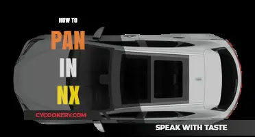 Navigating NX: Mastering the Art of Panning