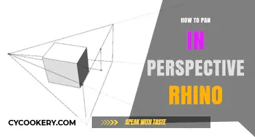 Mastering the Art of Panning in Perspective Rhino