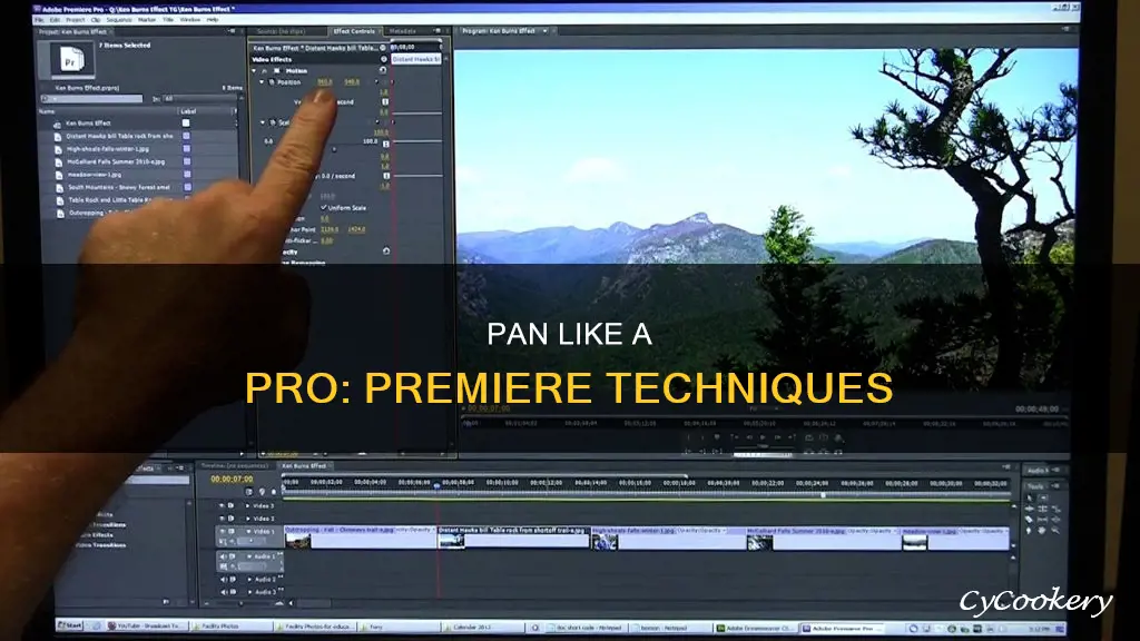 how to pan in premiere pro