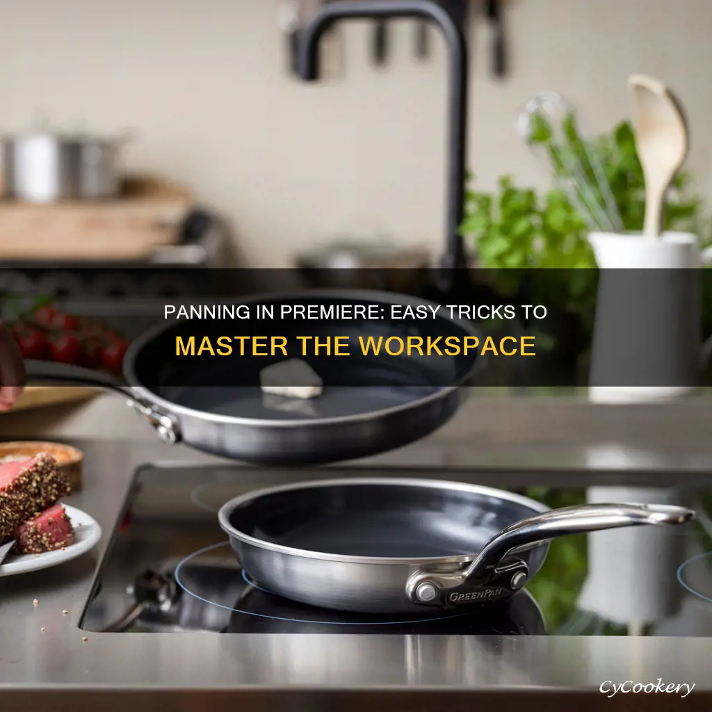 how to pan in premiere work space