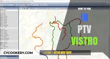 Mastering the Art of Panning in PTV Vistro