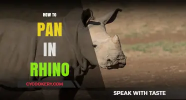 Mastering Rhino: Panning Techniques for Beginners