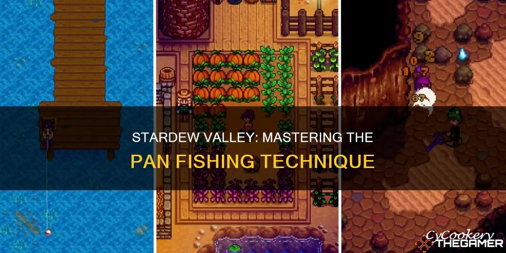 how to pan in stardew