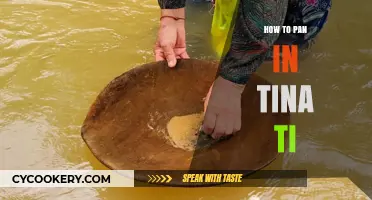 Pan-Frying Perfection: Tina Ti Style