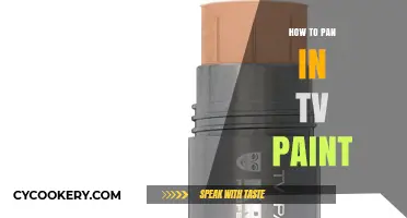 Panning in TVPaint: A Step-by-Step Guide