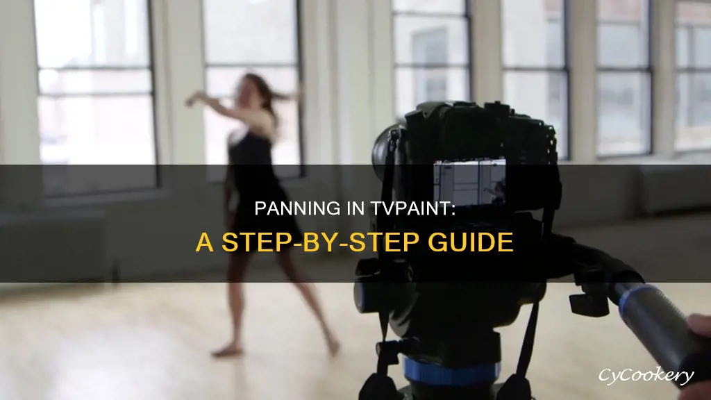 how to pan in tv paint