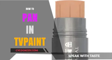 Panning Techniques in TVPaint: A Beginner's Guide