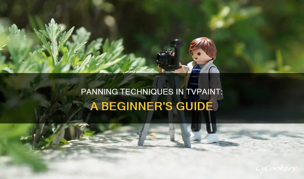 how to pan in tvpaint