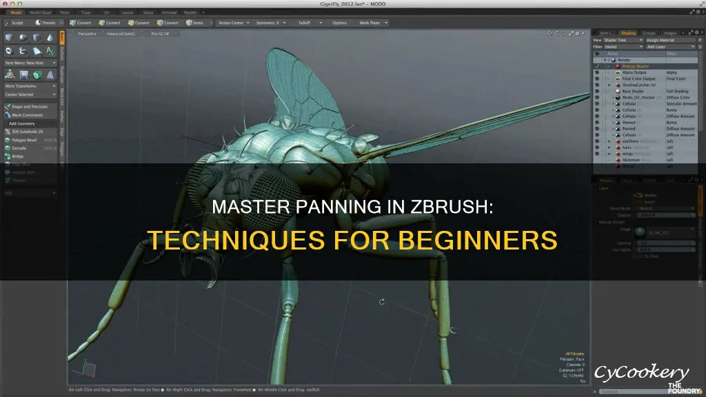 how to pan in z brush