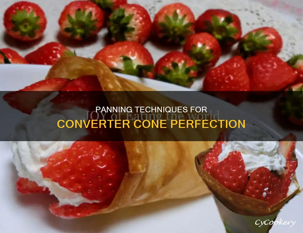 how to pan inside cone of conveter for the platlum