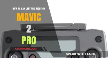 Mastering Pan Shots with Your Mavic 2 Pro