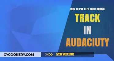 Panning Tracks in Audacity: Left and Right Techniques