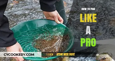 Master Panning Techniques for Perfect Results