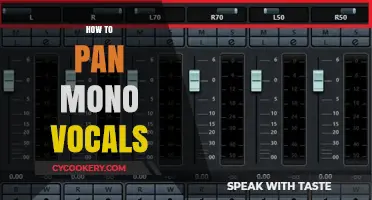 Panning Mono Vocals: A Guide to Stereo Imaging