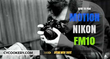 Mastering Motion Pan with Nikon FM10