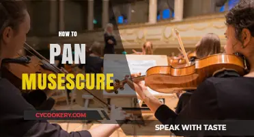 The Ultimate Guide to Panning Musescure