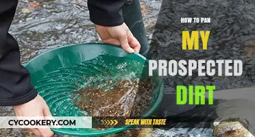 Panning Like a Pro: Maximizing Your Dirt's Potential