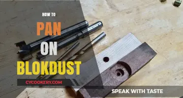 Explore the Art of Panning on Blokdust