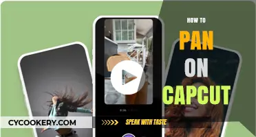Pan with Capcut: Easy Steps to Master Panning