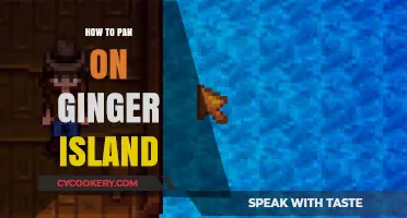 Exploring Ginger Island: A Guide to Successful Panning