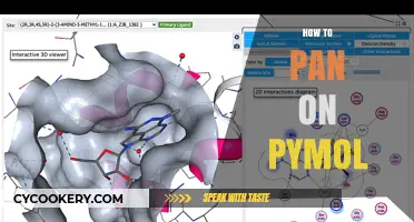 Navigating PyMOL: Mastering the Art of Panning