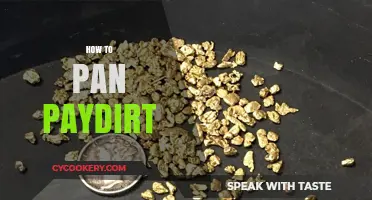 Panning Paydirt: Techniques for Gold Retrieval