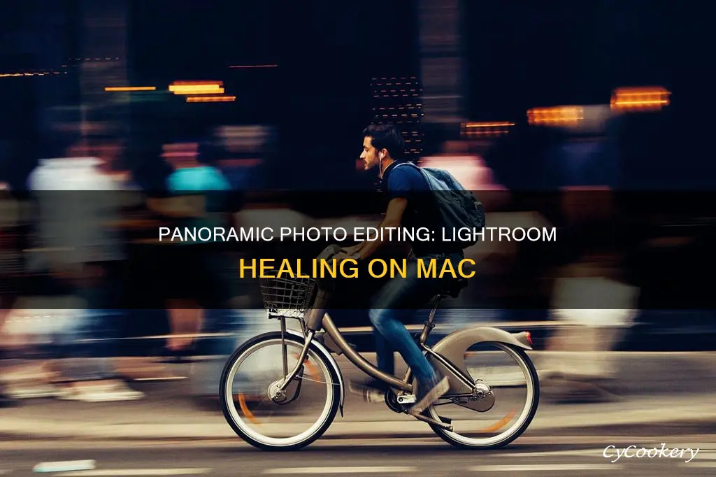 how to pan photo lightroom heal mac
