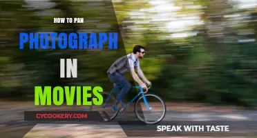 Mastering Pan Photography in Movies