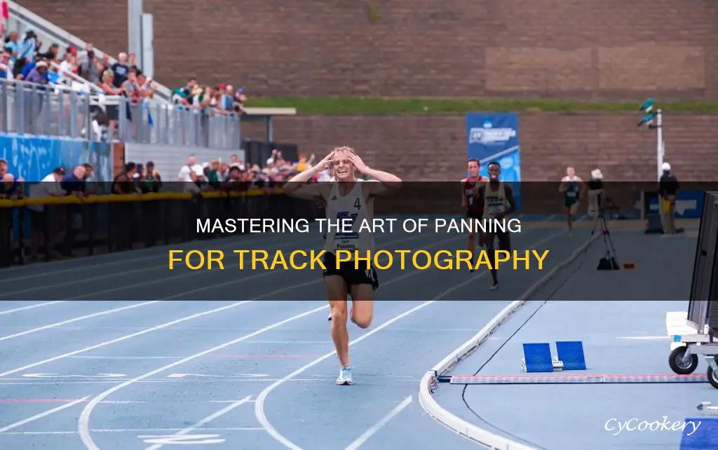 how to pan runners on track