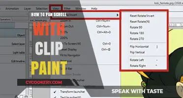 Pan and Scroll with Clip Paint: Easy Navigation Tips