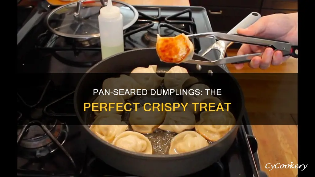 how to pan sear dumplings