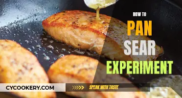 The Perfect Pan-Sear: A Beginner's Guide