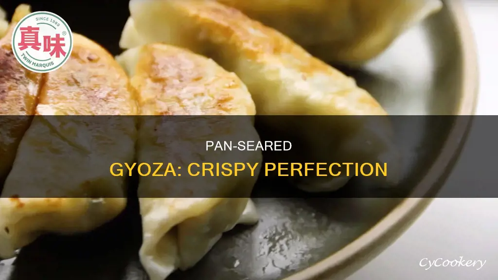 how to pan sear gyoza