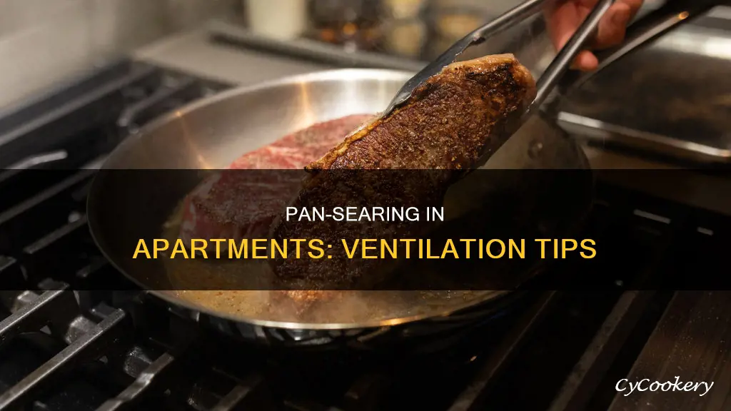 how to pan sear in apartment