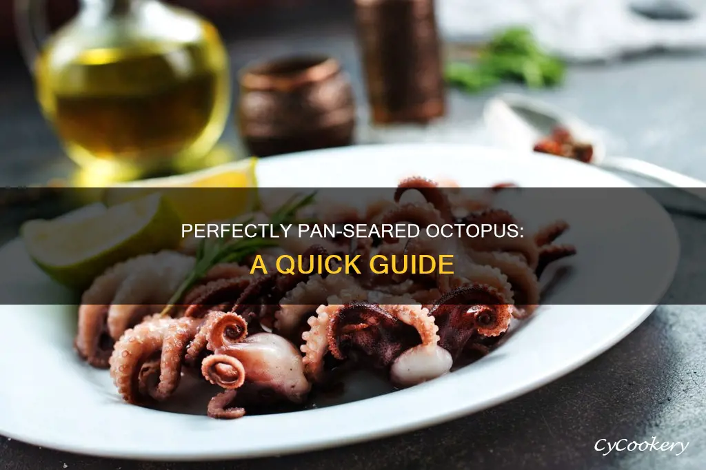 how to pan sear octopus