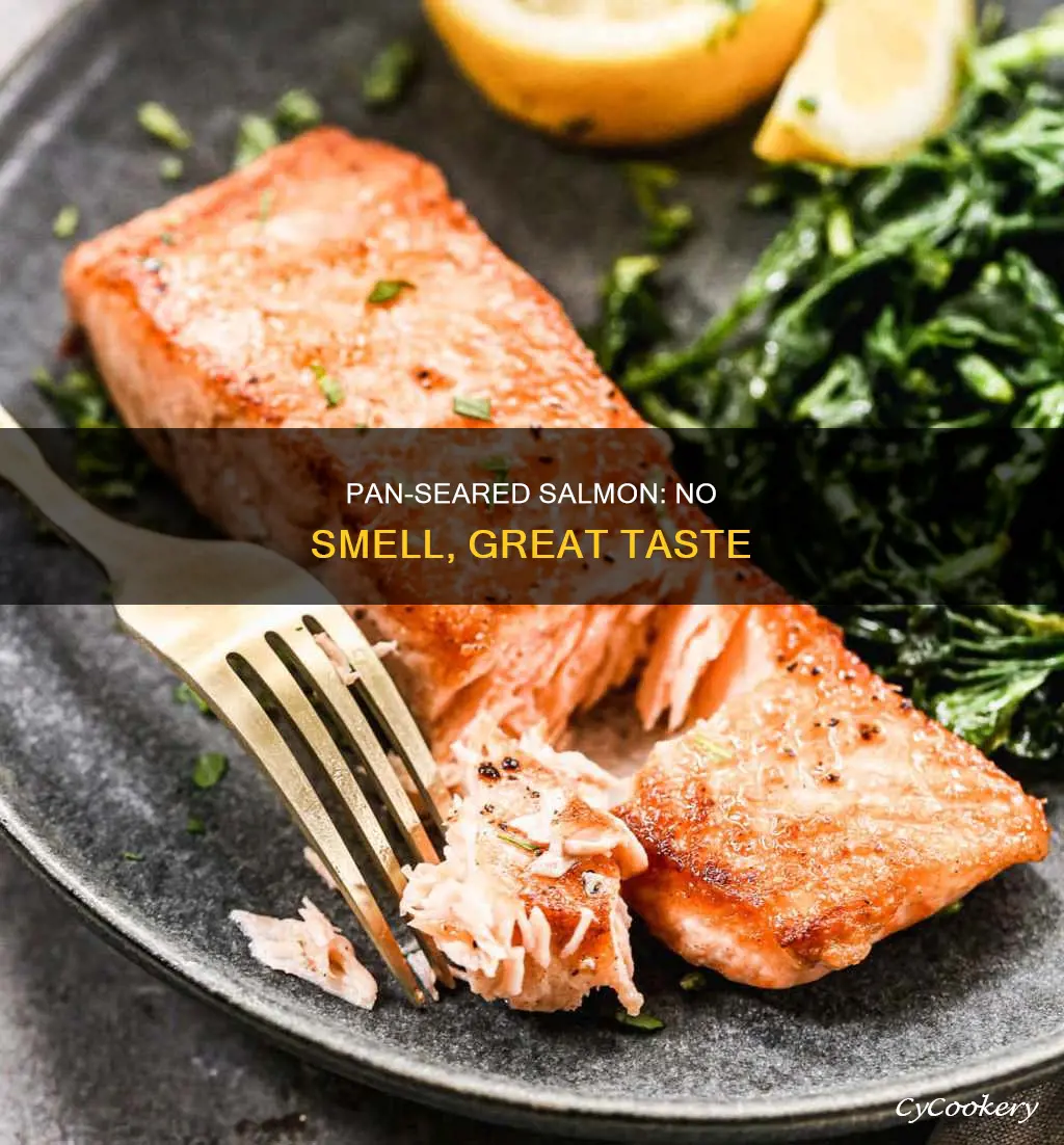 how to pan sear salmon without smelling up the house