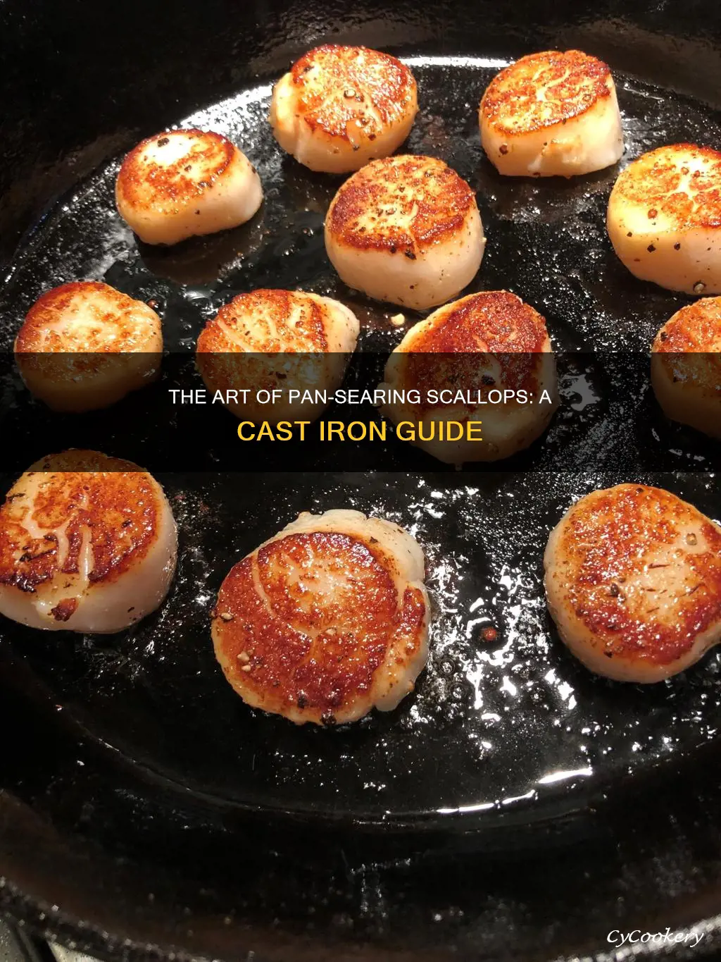 how to pan sear scallops with cast iron