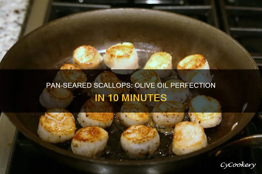 how to pan sear scallops with olive oil