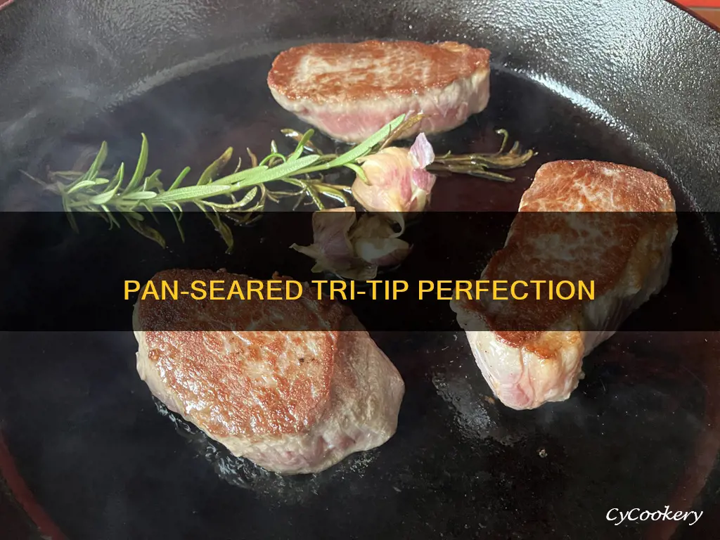 how to pan sear tri tip