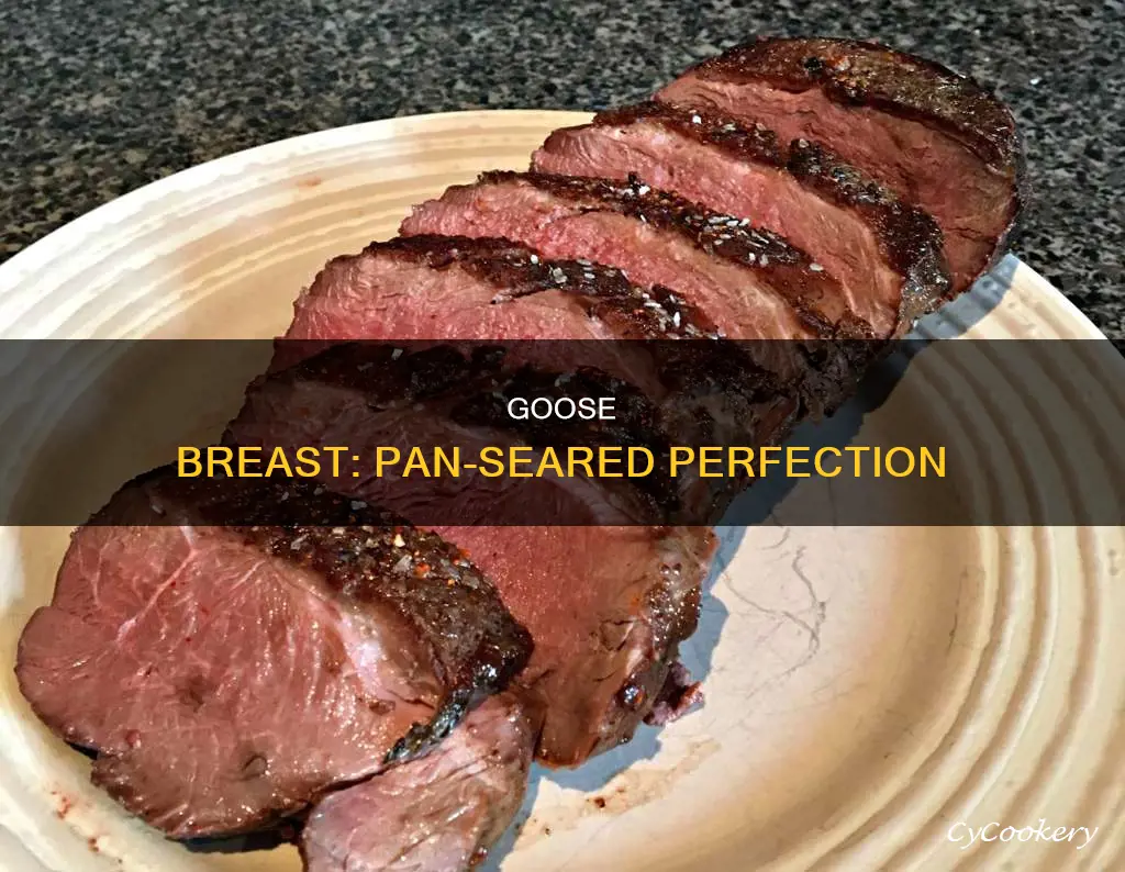 how to pan seared goose breast