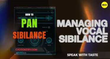 Reducing Sibilance: Techniques for a Smooth Mix