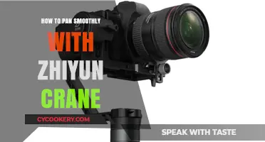 Mastering Smooth Panning with the Zhiyun Crane