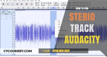 Panning Stereo Tracks in Audacity: A Beginner's Guide