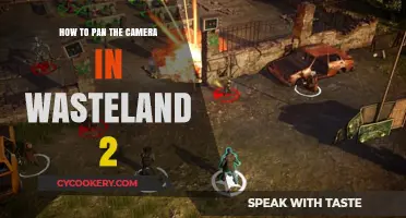 Mastering Camera Pans in Wasteland 2